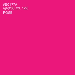 #EC177A - Rose Color Image