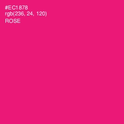 #EC1878 - Rose Color Image