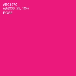 #EC197C - Rose Color Image