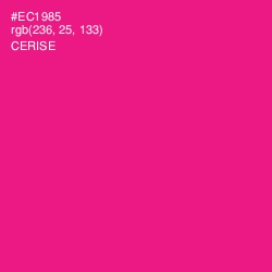 #EC1985 - Cerise Color Image