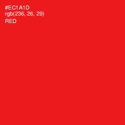 #EC1A1D - Red Color Image
