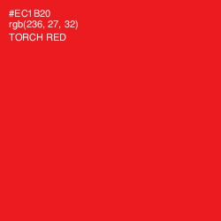 #EC1B20 - Torch Red Color Image