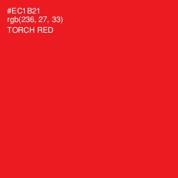 #EC1B21 - Torch Red Color Image