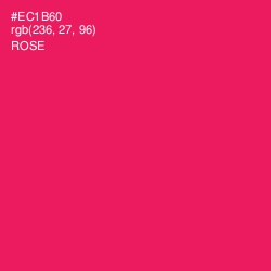 #EC1B60 - Rose Color Image