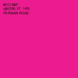 #EC1B8F - Persian Rose Color Image