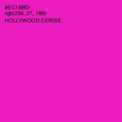 #EC1BBD - Hollywood Cerise Color Image