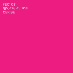 #EC1C81 - Cerise Color Image