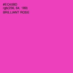 #EC40BD - Brilliant Rose Color Image