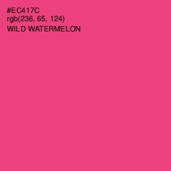 #EC417C - Wild Watermelon Color Image