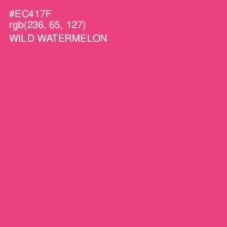 #EC417F - Wild Watermelon Color Image