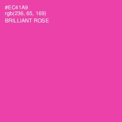 #EC41A9 - Brilliant Rose Color Image