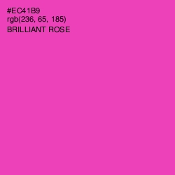 #EC41B9 - Brilliant Rose Color Image