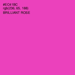 #EC41BC - Brilliant Rose Color Image