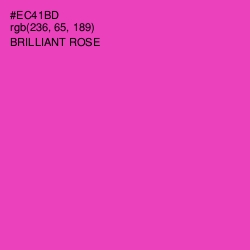 #EC41BD - Brilliant Rose Color Image