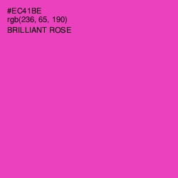 #EC41BE - Brilliant Rose Color Image