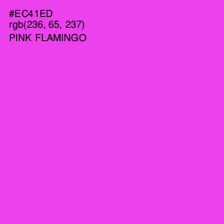 #EC41ED - Pink Flamingo Color Image