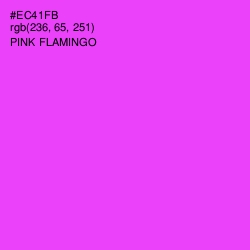 #EC41FB - Pink Flamingo Color Image