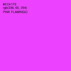 #EC41FE - Pink Flamingo Color Image