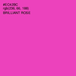 #EC42BC - Brilliant Rose Color Image