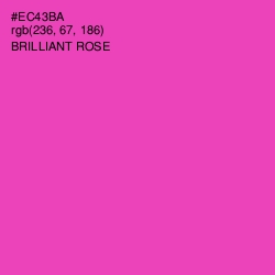 #EC43BA - Brilliant Rose Color Image