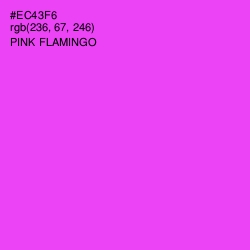 #EC43F6 - Pink Flamingo Color Image