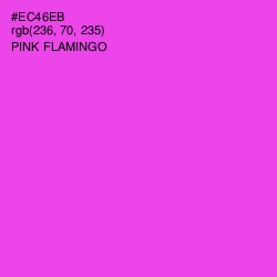 #EC46EB - Pink Flamingo Color Image