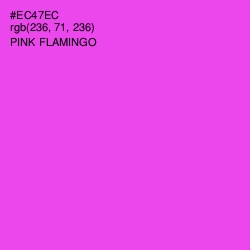 #EC47EC - Pink Flamingo Color Image