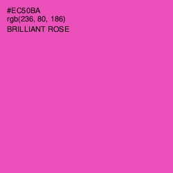 #EC50BA - Brilliant Rose Color Image