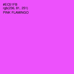 #EC51FB - Pink Flamingo Color Image