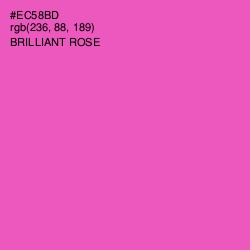 #EC58BD - Brilliant Rose Color Image