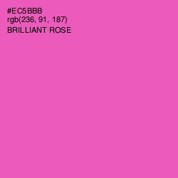 #EC5BBB - Brilliant Rose Color Image