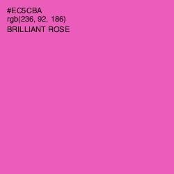 #EC5CBA - Brilliant Rose Color Image