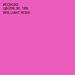 #EC5CBD - Brilliant Rose Color Image