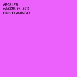 #EC61FB - Pink Flamingo Color Image