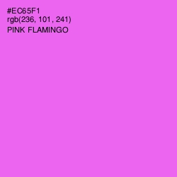 #EC65F1 - Pink Flamingo Color Image