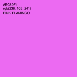 #EC69F1 - Pink Flamingo Color Image