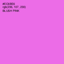 #EC6BE6 - Blush Pink Color Image