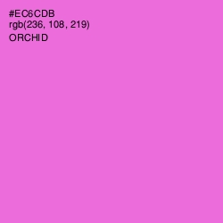 #EC6CDB - Orchid Color Image