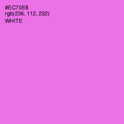 #EC70E8 - Blush Pink Color Image