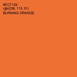 #EC7133 - Burning Orange Color Image