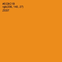 #EC8C1B - Zest Color Image
