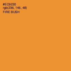 #EC9230 - Fire Bush Color Image