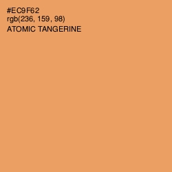 #EC9F62 - Atomic Tangerine Color Image