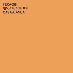 #ECA058 - Casablanca Color Image