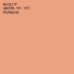 #ECA17F - Porsche Color Image