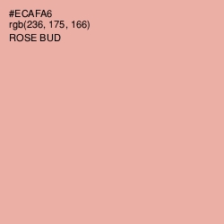 #ECAFA6 - Rose Bud Color Image