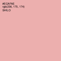 #ECAFAE - Shilo Color Image