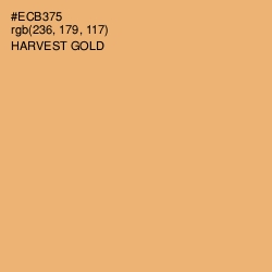 #ECB375 - Harvest Gold Color Image