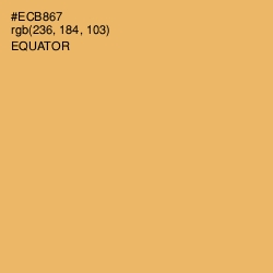 #ECB867 - Equator Color Image