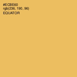 #ECBE60 - Equator Color Image